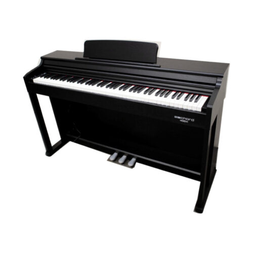 ECHORD DPX-100 DIGITAL PIANO BLACK