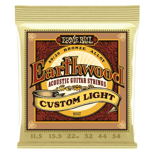 ERNIE BALL 2007 Earthwood Custom Light Bronze 80/20