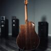 Breedlove Atlas Stage D25/Sre