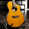 Line 6 Variax 700 Acoustic