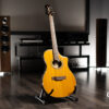 Line 6 Variax 700 Acoustic