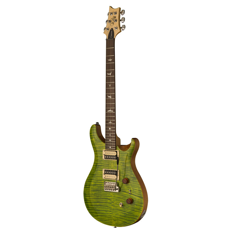 PRS SE custom 24-08 ErizaVerde