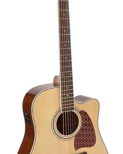 Richwood RD-17-CE Richwood RD-17-CE Chitarra acustica dreadnought elettrificata RD-17-CE C