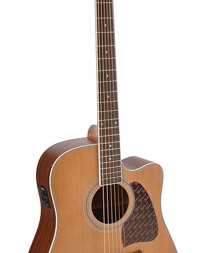 Richwood RD-17C-CE Richwood RD-17C-CE Chitarra acustica dreadnought elettrificata RD-17C-C