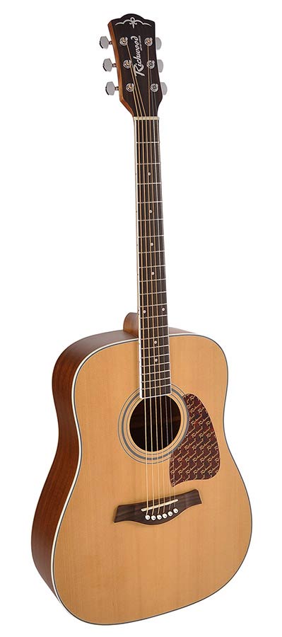 Richwood RD-17C Richwood RD-17C Chitarra acustica dreadnought RD-17C