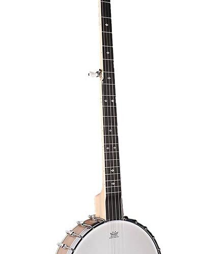 Richwood RMB-1405-LN Richwood RMB-1405-LN Banjo folk 5 corde open back