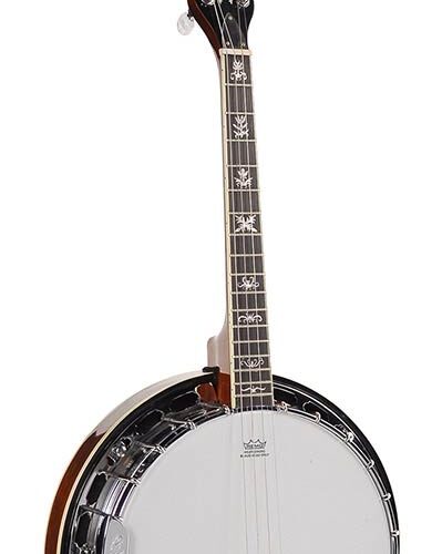 Richwood RMB-904-SS Richwood RMB-904-SS Banjo tenore 4 corde closed back RMB-904-SS