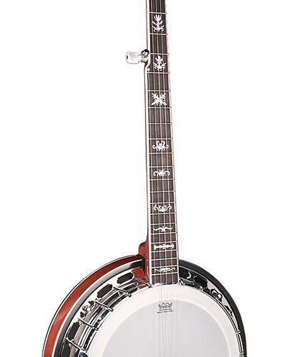 Richwood RMB-905-A Richwood RMB-905-A Banjo folk 5 corde closed back