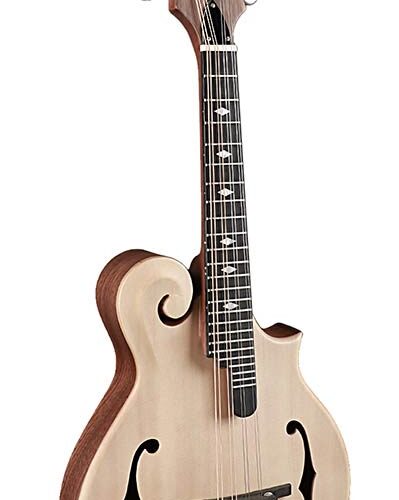 Richwood RMF-80-NT Richwood RMF-80-NT Mandolino F style RMF-80-NT