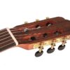 Salvador CS-244-CE Chitarra classica 4/4 elettrificata