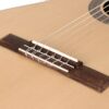 Salvador CS-244-CE Chitarra classica 4/4 elettrificata