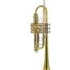 Stewart Ellis SE-1900-L Tromba in DO con astuccio semi-rigido