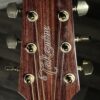 Takamine Gsf3Ce Ng Natural Gloss