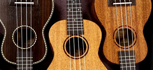 ukulele