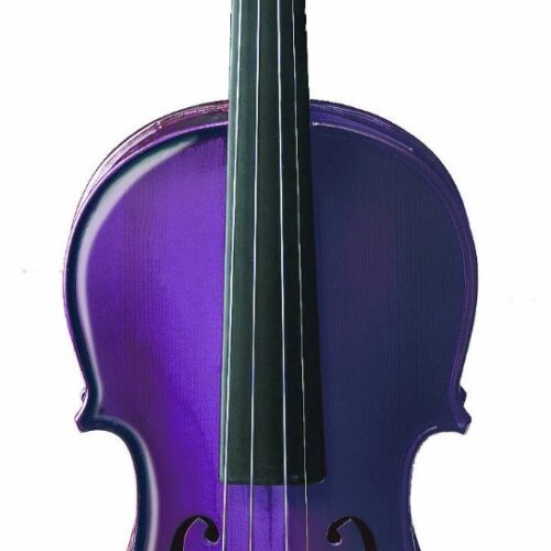 ASHTON AV442 VIOLINO 4/4 COLORATO