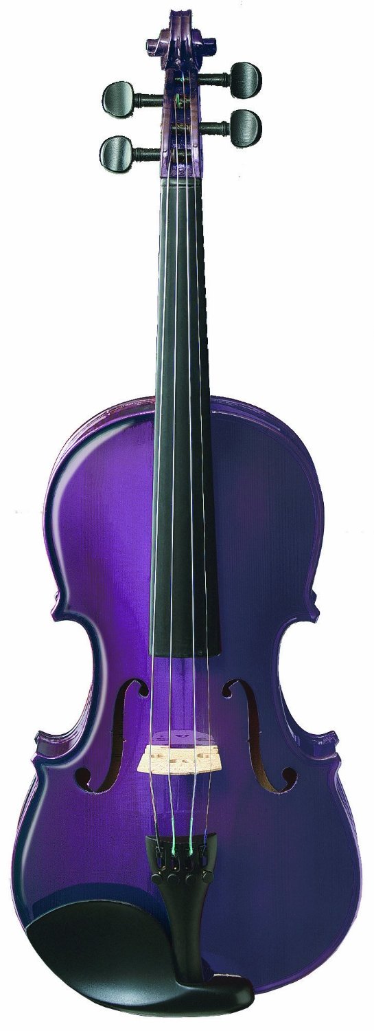 ASHTON AV442 VIOLINO 4/4 COLORATO