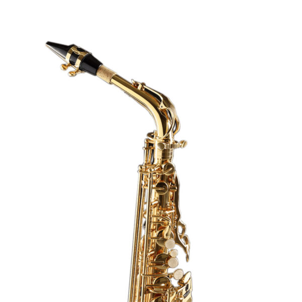 CIGALINI Sax Contralto Studio