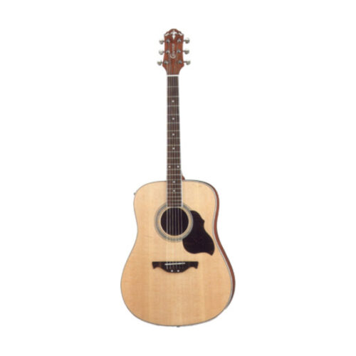 CRAFTER DE-6 PROFESSIONAL NEW CHIT ACUSTIC EL.