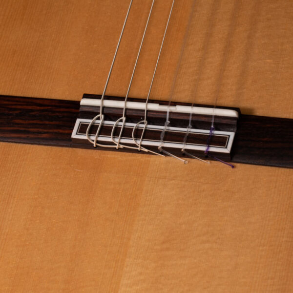 Camps Albeniz-A Chitarra Classica