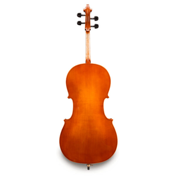 EASTMAN VC-50-SBC 4/4 Violoncello