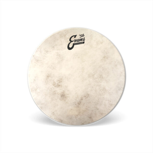 EVANS TT10C7 CALFTONE SABBIATA 10" - NATURALE