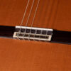 Juan Hernandez Professor III-C Chitarra Classica