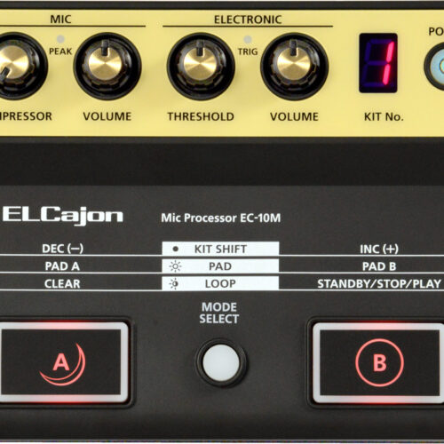 ROLAND EC10M HYBRID CLIP MIC PROCESSOR