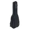 Ritter RGD2-C/ANT Borsa Chitarra Classica 4/4