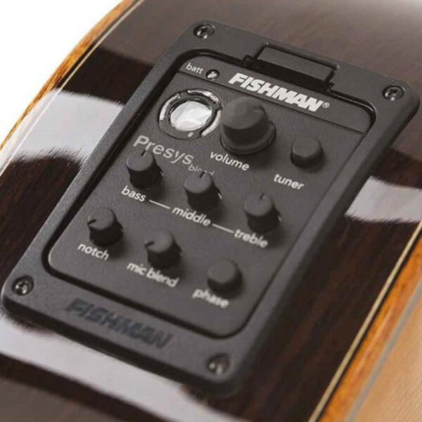 Salvador Cortez VNP-CUSTOM Chitarra classica 4/4 Elettrificata