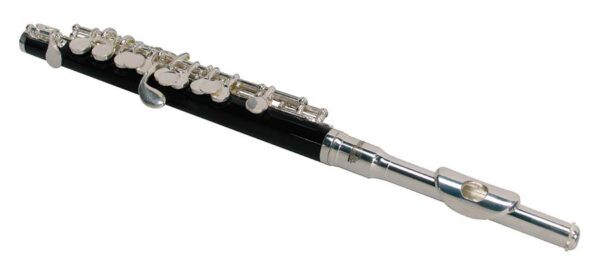 Stewart Ellis SE-100-S Flauto ottavino in ABS