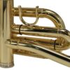 Stewart Ellis SE-1200-L Cornetta in Sib Stewart Ellis SE-1200-L Cornetta in Sib