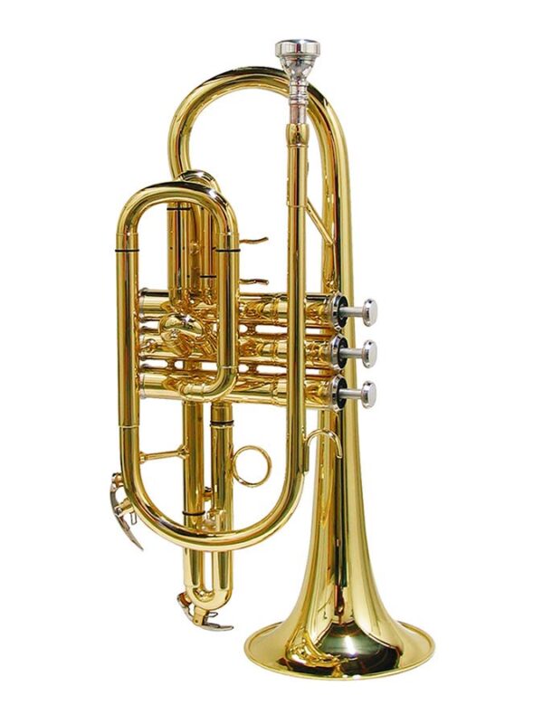 Stewart Ellis SE-1200-L Cornetta in Sib Stewart Ellis SE-1200-L Cornetta in Sib
