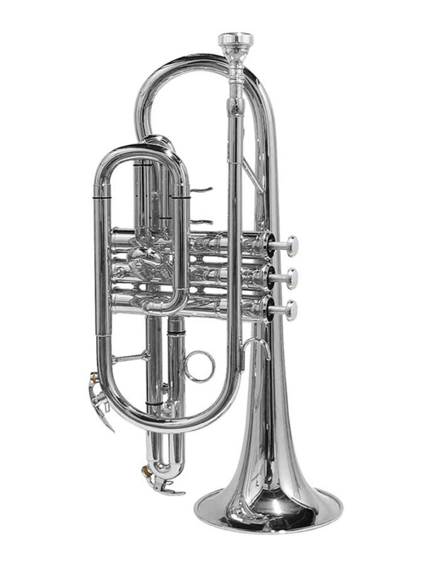 Stewart Ellis SE-1200-S Cornetta in Sib