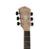 WASHBURN AG40 CE K