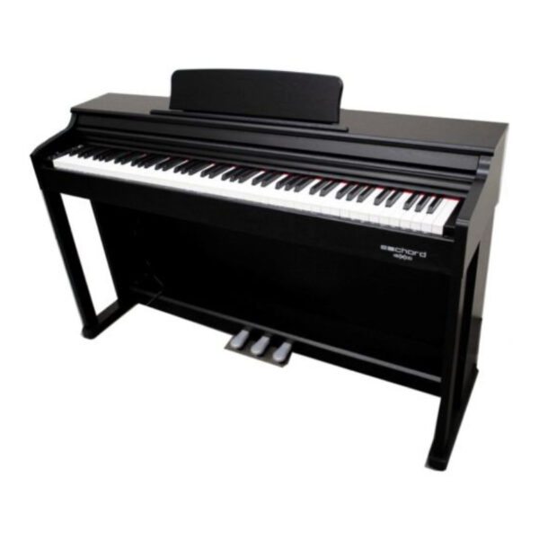 Echord DPX100 Digital Piano Polish Black