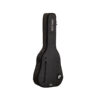 Ritter RGD2-D/ANT Davos Chitarra Dreadnought Davos